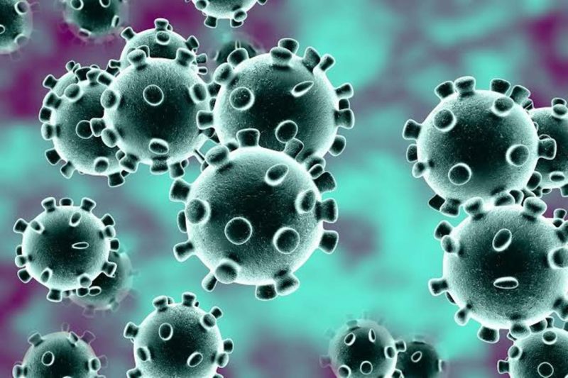 Ažuriranja koronavirusa: SAD je upozorio na mogući izbijanje, Italija se zaustavila